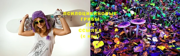 MDMA Premium VHQ Горнозаводск